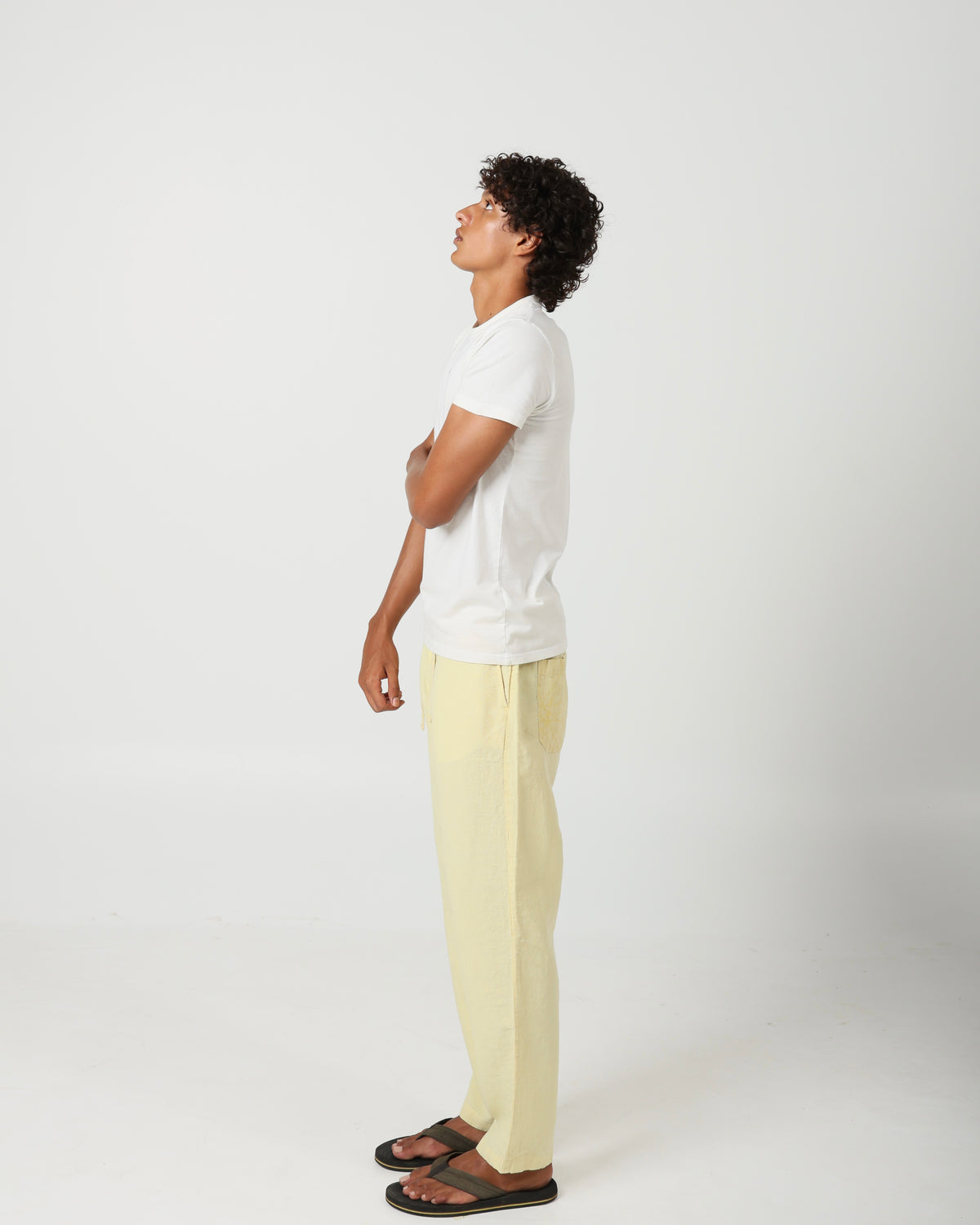 #color_canistel